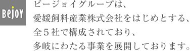 ビージョイグループは、愛媛飼料産業株式会社をはじめとする、全5社で構成されており、多岐にわたる事業を展開しております。
