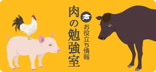 肉の勉強室