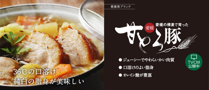 愛媛甘とろ豚