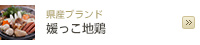 県産ブランド 媛っこ地鶏